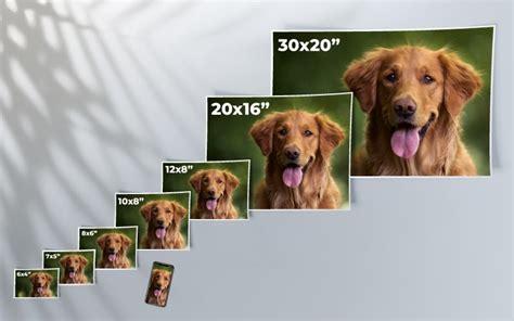 small photo prints 1x1|Custom Size Photo Prints .